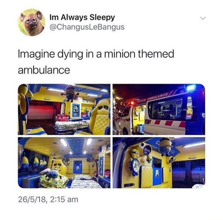 It's ok little minion